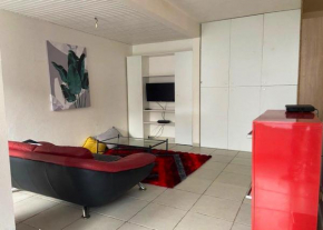 Studio charmant à Fort-de-France avec jardin privatif de 40m²